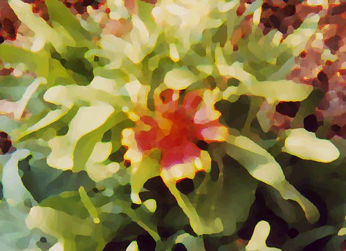 flower1