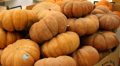 fairytale pumpkins