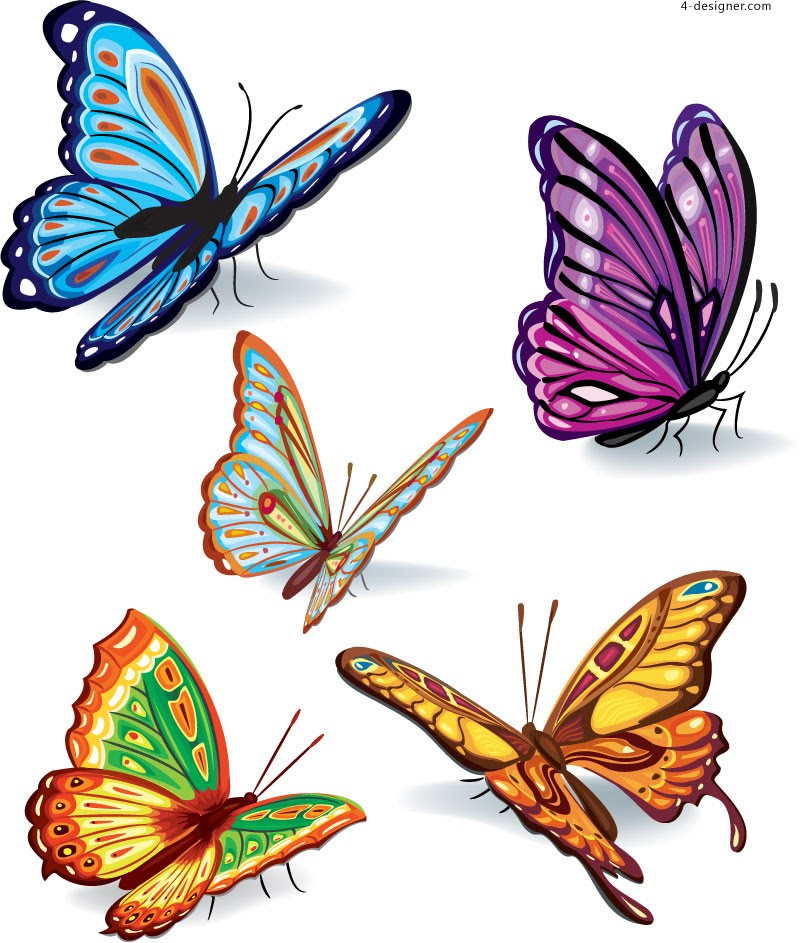 Free Butterfly Body Svg 59 SVG PNG EPS DXF File - Free Converting
