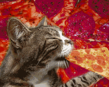 hilary pendleton jd beatty gif