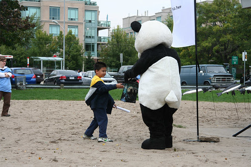 Volunteer accepting prize from Panda