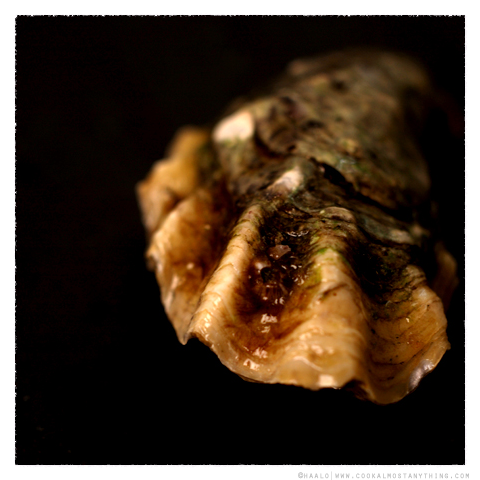 Kumamoto oyster© by Haalo