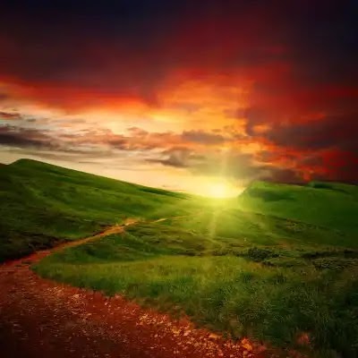 Here are 7 tips to help you make sure you go home with beautiful pictures. #LandscapePhotography #Ph...