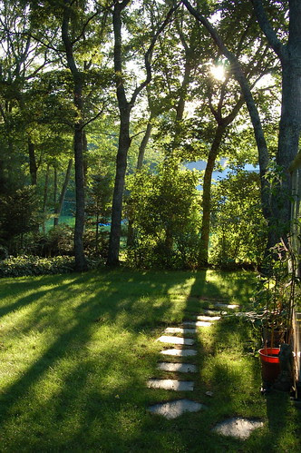 Sarah's parents' yard