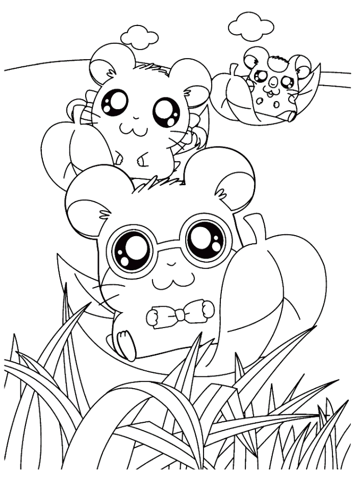 Kumpulan gambar untuk Belajar mewarnai: Gambar Hamster