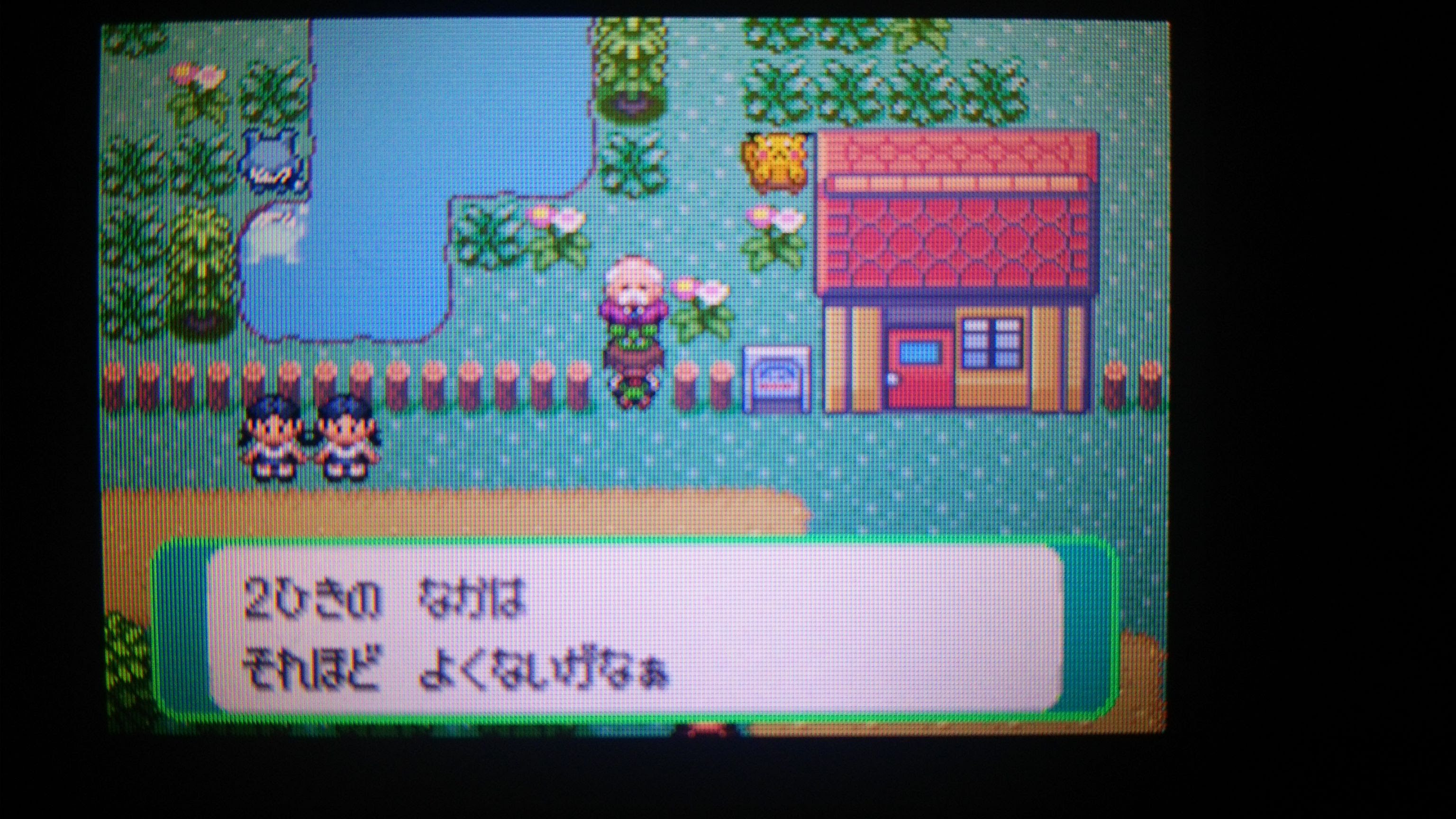 ポケモン ファイアレッド ダウンロード 最高のイラストと図面