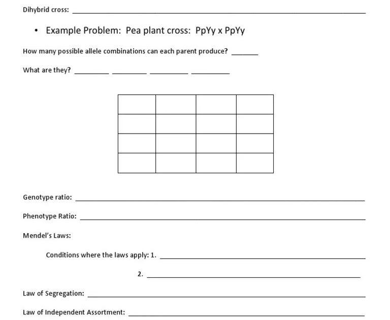 Dihybrid Crosses Practice Problems Answers : Dihybrid Cross Worksheet
