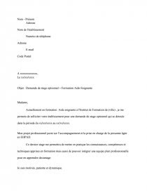 Motivation Infirmière Demande De Stage Infirmier Exemple Pdf  Adolfo