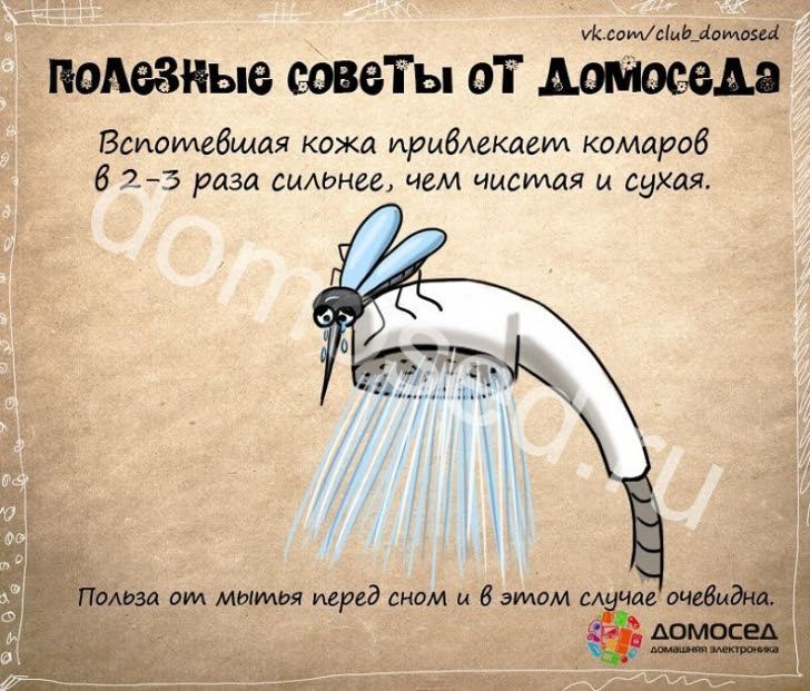 Полезные хозяйственные советы (часть 2) Полезные хозяйственные советы (часть 2)