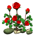blume905