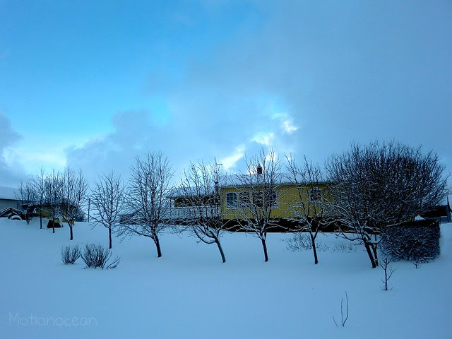 Winter house