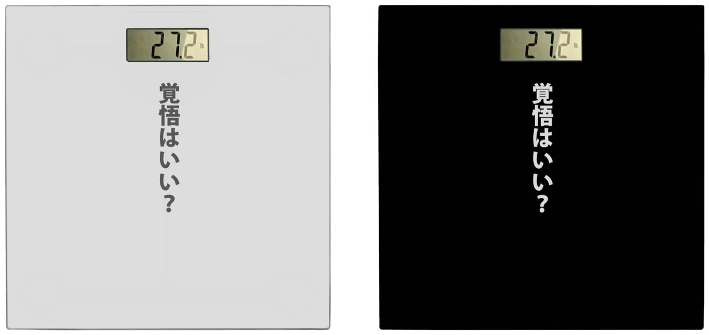 2scales.jpg