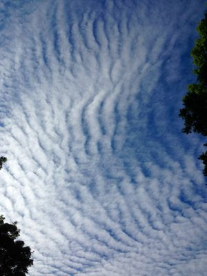 summerclouds2015-2.jpg