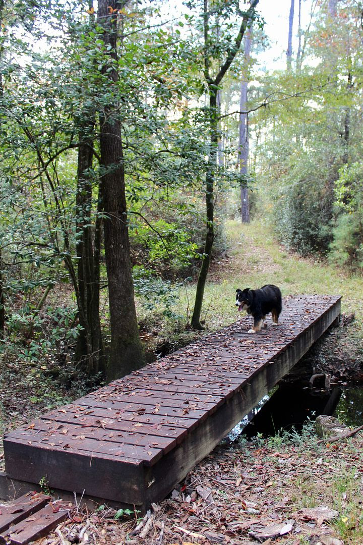 Winds of Destiny RVLife Hiking the Black Creek Trail, 11/05/2017