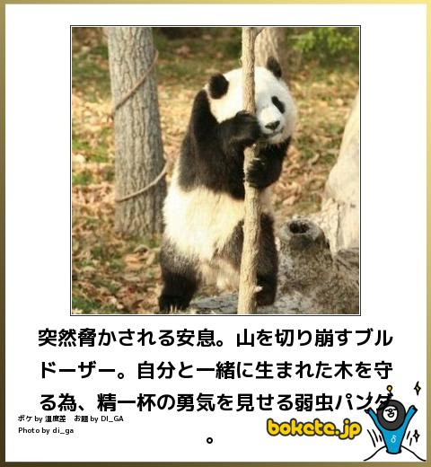ユニーク面白い画像 動物 ボケて 最高の動物画像