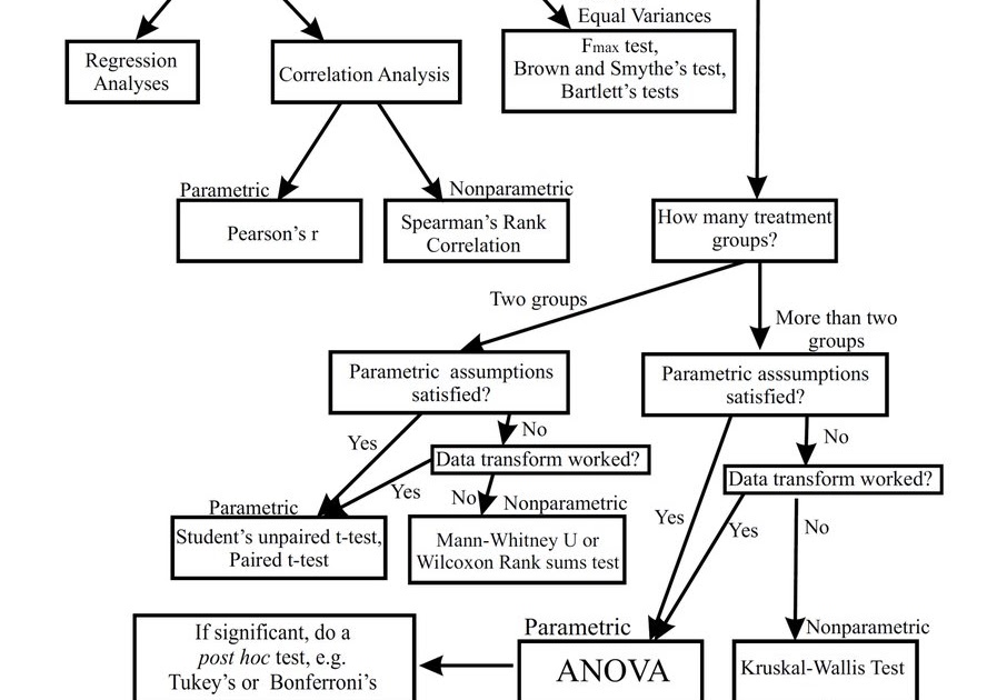 what is statistical tests in research