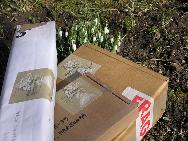 Galanthus packs