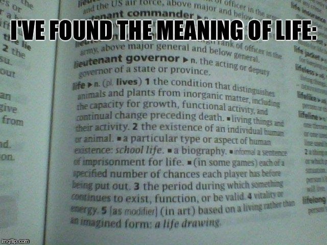 meaning-of-life-42-god-hides-the-meaning-of-life-liturgy-42-is