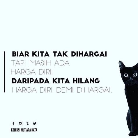 Kata Bijak Tentang Harga Diri Perempuan : 39 Kata Kata Bijak Tentang