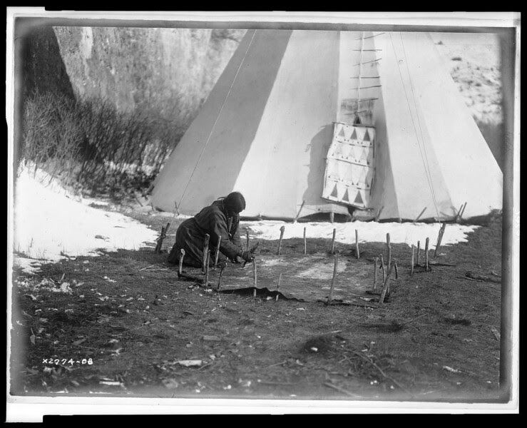 Description of  Title: Hide scraping--Apsaroke.  <br />Date Created/Published: c1908 July 6.  <br />Summary: Apsaroke woman scraping hide that is secured to the ground by numerous stakes, tipi in background.  <br />Photograph by Edward S. Curtis, Curtis (Edward S.) Collection, Library of Congress Prints and Photographs Division Washington, D.C.