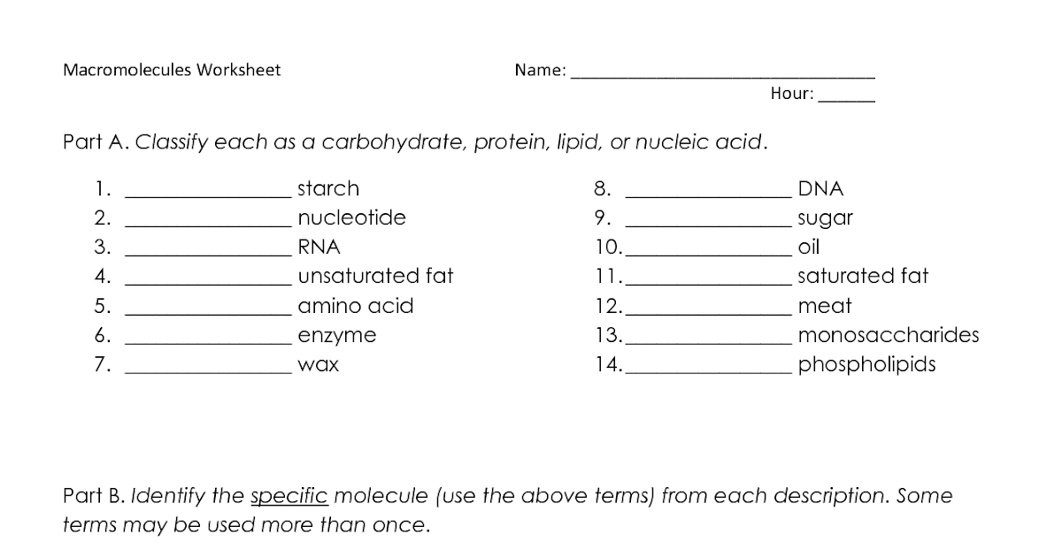 anatomy and physiology review sheet 32