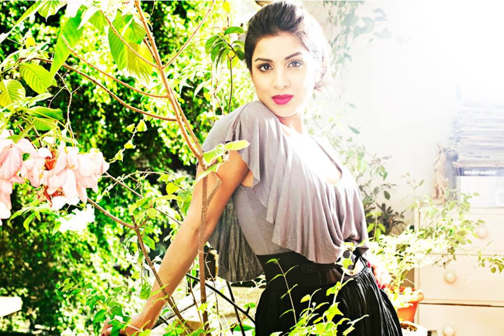 Sexy Pallavi Sharda Wallpaper 2014