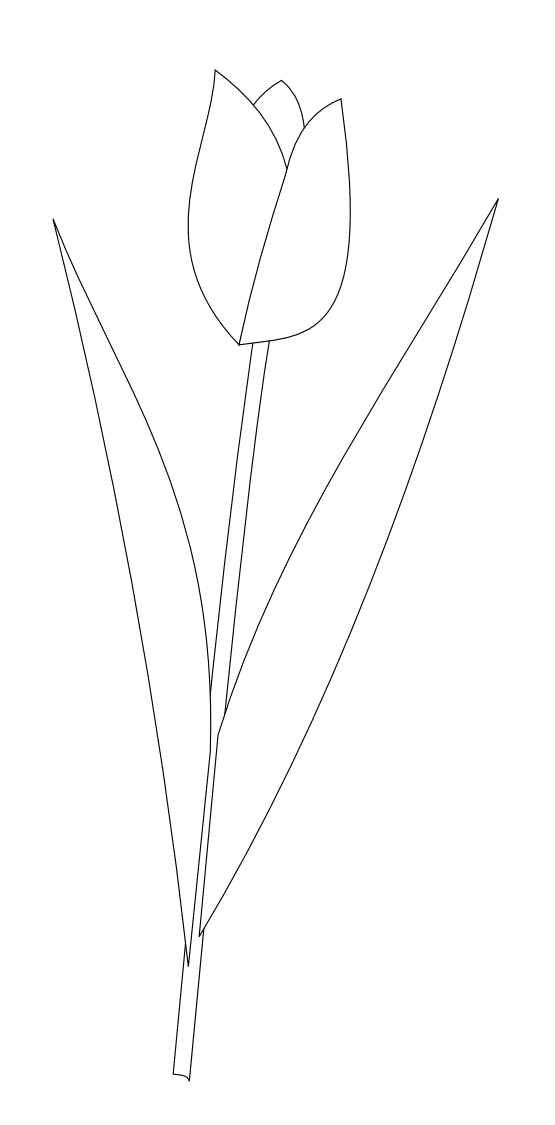 Kumpulan Gambar Bunga Tulip Animasi Hitam Putih Gratis Infobaru