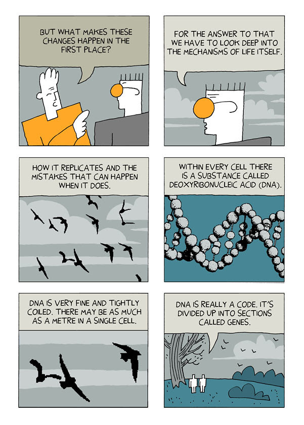 evolution 18