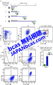 Cas カード 2020 b 改造