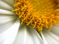 JulyMacro9