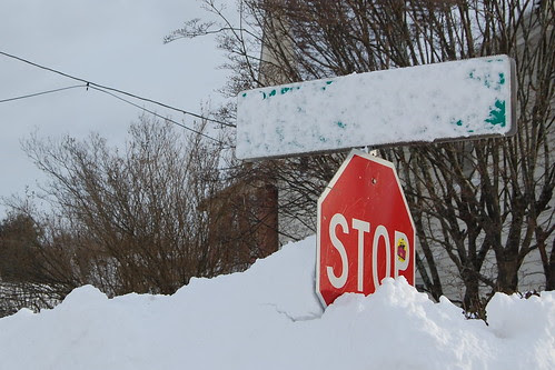 Nemo_Franklin_WinterSt