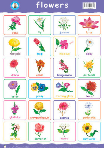 Flowers Names In Telugu List | Best Flower Site