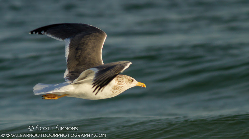 Photo & Video Sharing by SmugMug Photo & Video Sharing by SmugMug