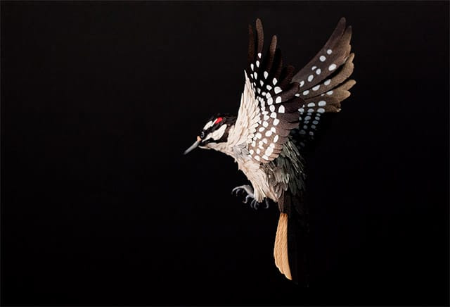 New Paper Birds from Diana Beltran Herrera New Paper Birds from Diana Beltran Herrera sculpture paper birds
