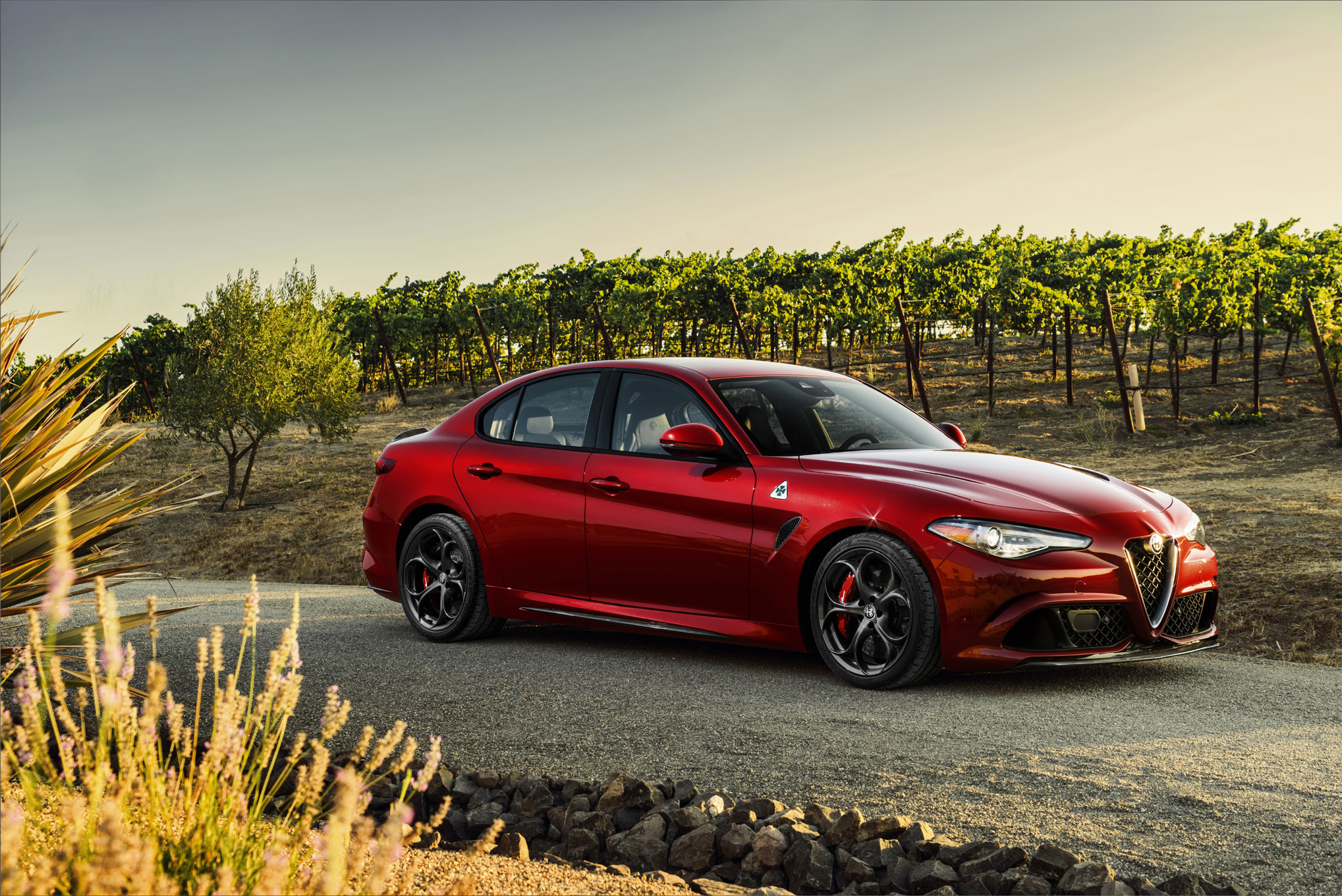 Alfa Romeo Giulia, Giulia Quadrifoglio Pricing Announced Alfa Romeo Giulia, Giulia Quadrifoglio Pricing Announced