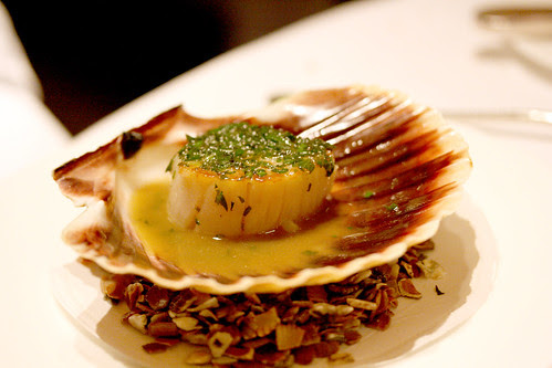Scallop with Seashore Herbs