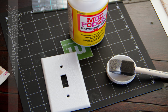 Switchplate_06.jpg