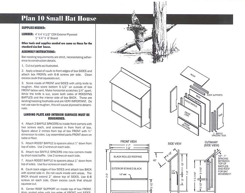 How To Build A Bat Box Plans