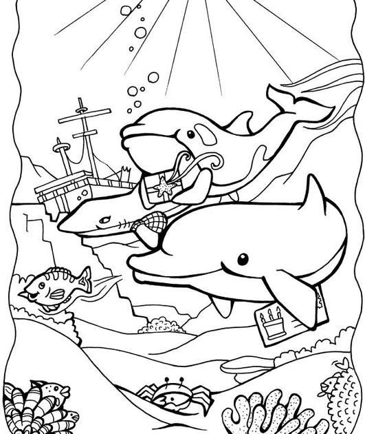 Printable Coloring Pages Of Dolphins And Seals From Barbie | Monaicyn