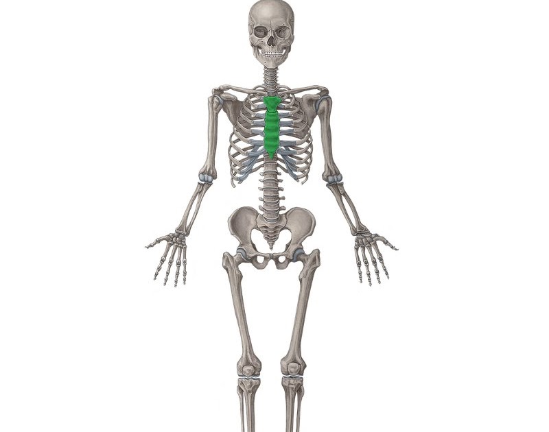 Flat Bones Google Books | Ar Book Reader Uk