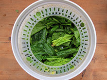épinards frais préparation recette vegan vegetalien épinards frais préparation recette vegan vegetalien