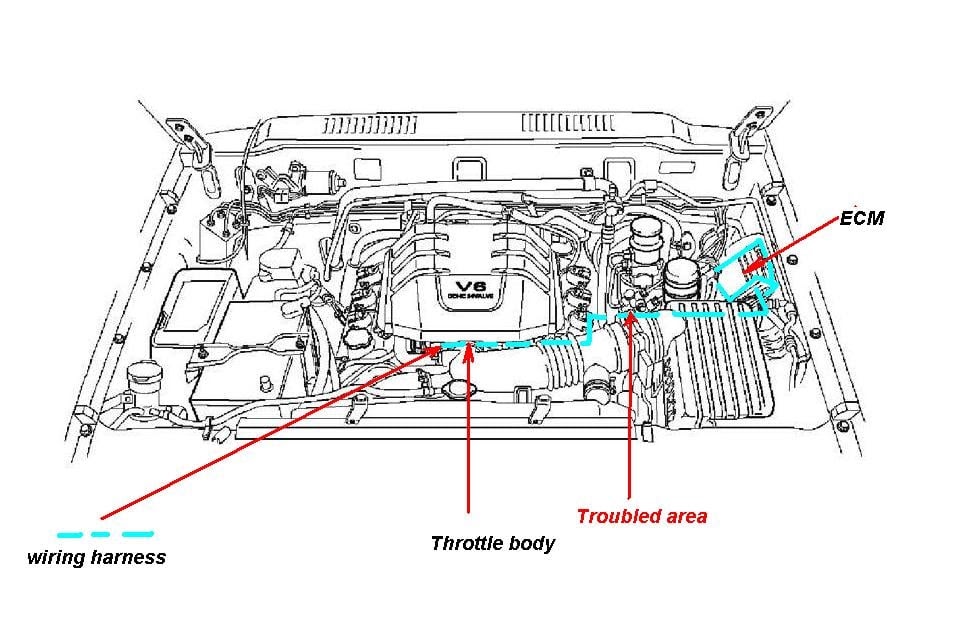 Read Manual: Isuzu Rodeo Manual Transmission