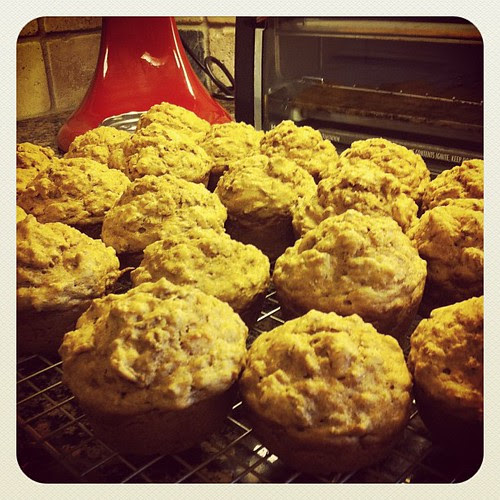 {Day 18} #somethingImade bran muffins #mayphotoaday #catchup