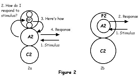 Ego models transactions
