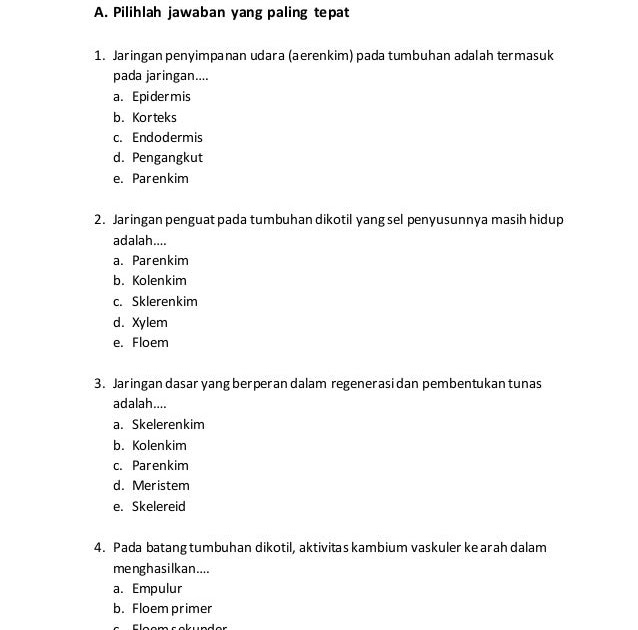 Soal Pilihan Ganda Jaringan Komputer Guru Paud
