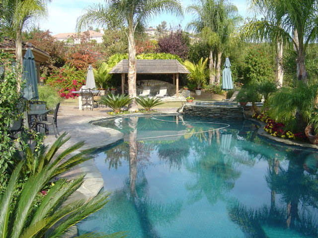 tropical backyard ideas with pool
