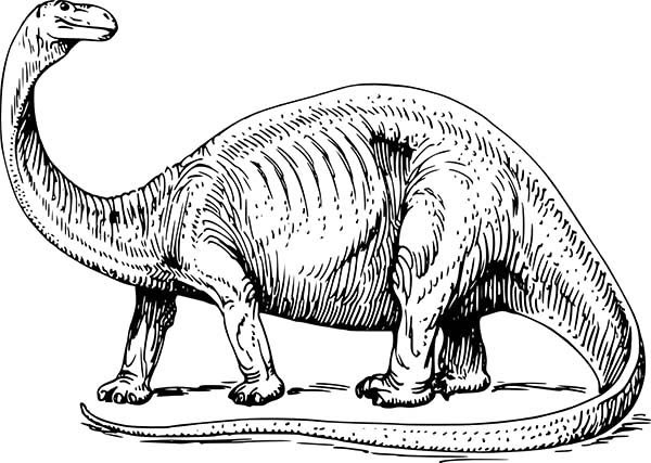 apatosaurus coloring page