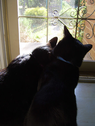 brothers