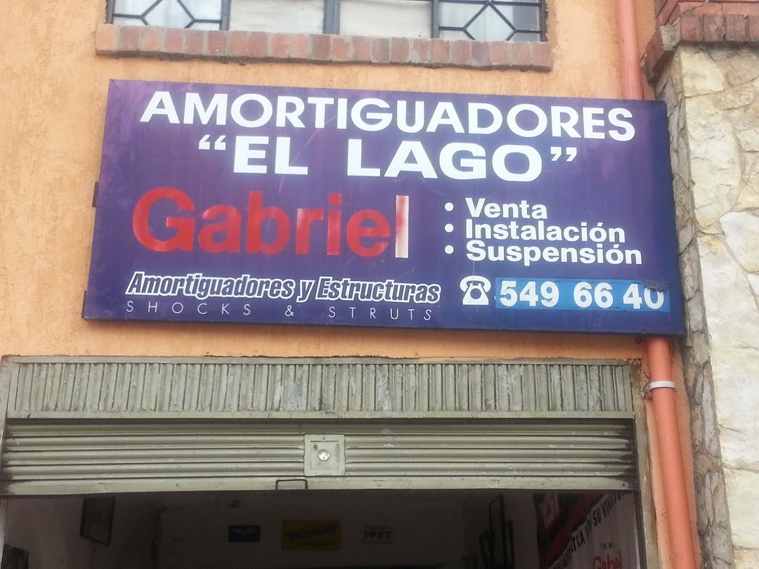 AMORTIGUADORES EL LAGO
