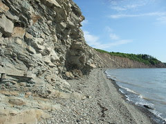 Joggins beach view